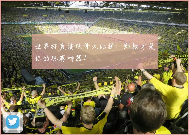 世界杯直播软件大比拼：哪款才是你的观赛神器？