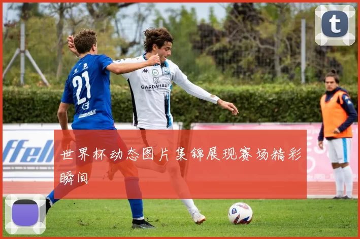 世界杯动态图片集锦展现赛场精彩瞬间