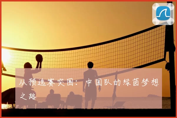 从预选赛突围：中国队的绿茵梦想之路