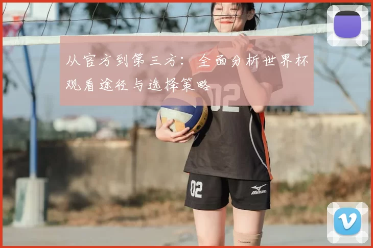 从官方到第三方:全面分析世界杯观看途径与选择策略