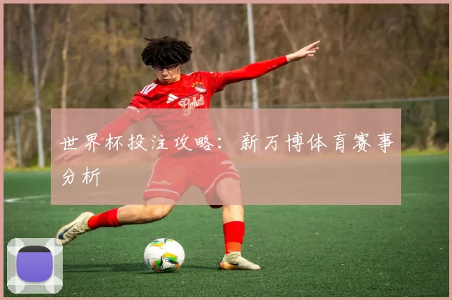 世界杯投注攻略:新万博体育赛事分析