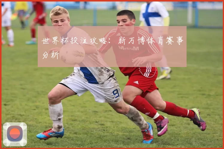 世界杯投注攻略:新万博体育赛事分析