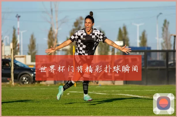 世界杯门将精彩扑球瞬间