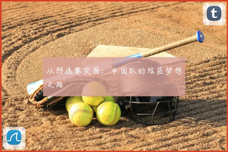 从预选赛突围:中国队的绿茵梦想之路