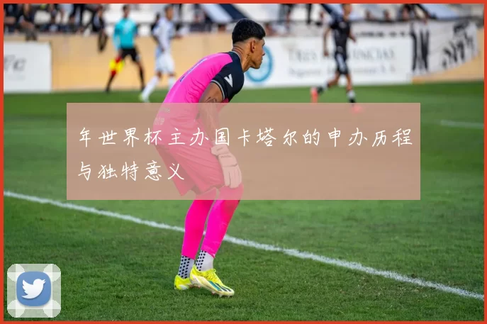 年世界杯主办国卡塔尔的申办历程与独特意义