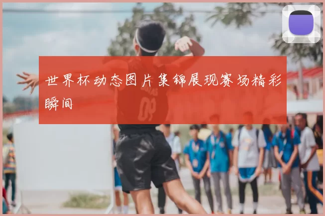 世界杯动态图片集锦展现赛场精彩瞬间