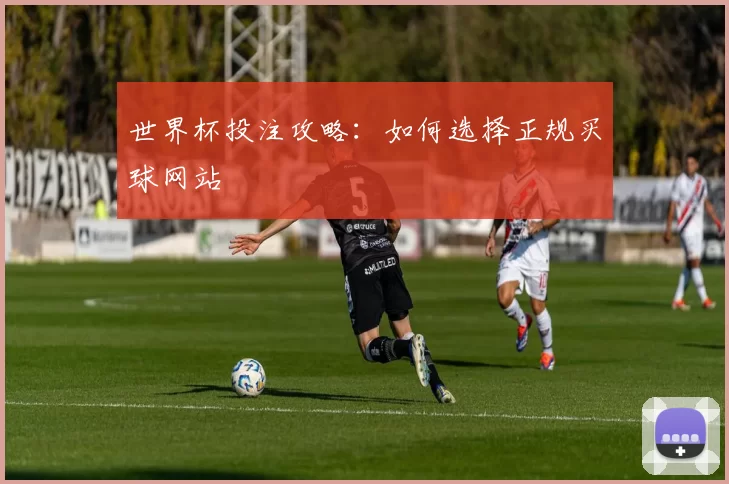 世界杯投注攻略:如何选择正规买球网站